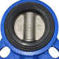 D671XP-16 Butterfly Valve - 4” CF8 Stainless Steel